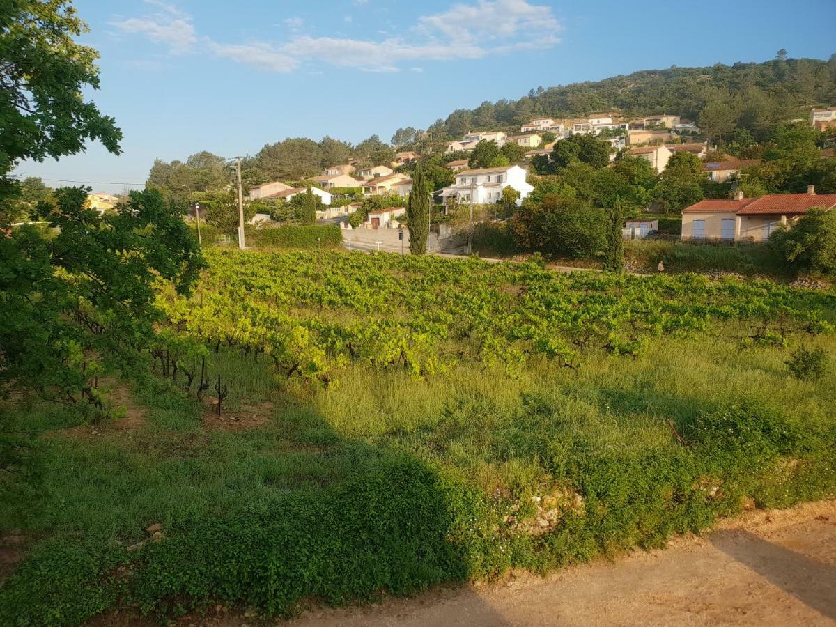 Villa Marie - Provence Cote D'Azur Cabasse エクステリア 写真